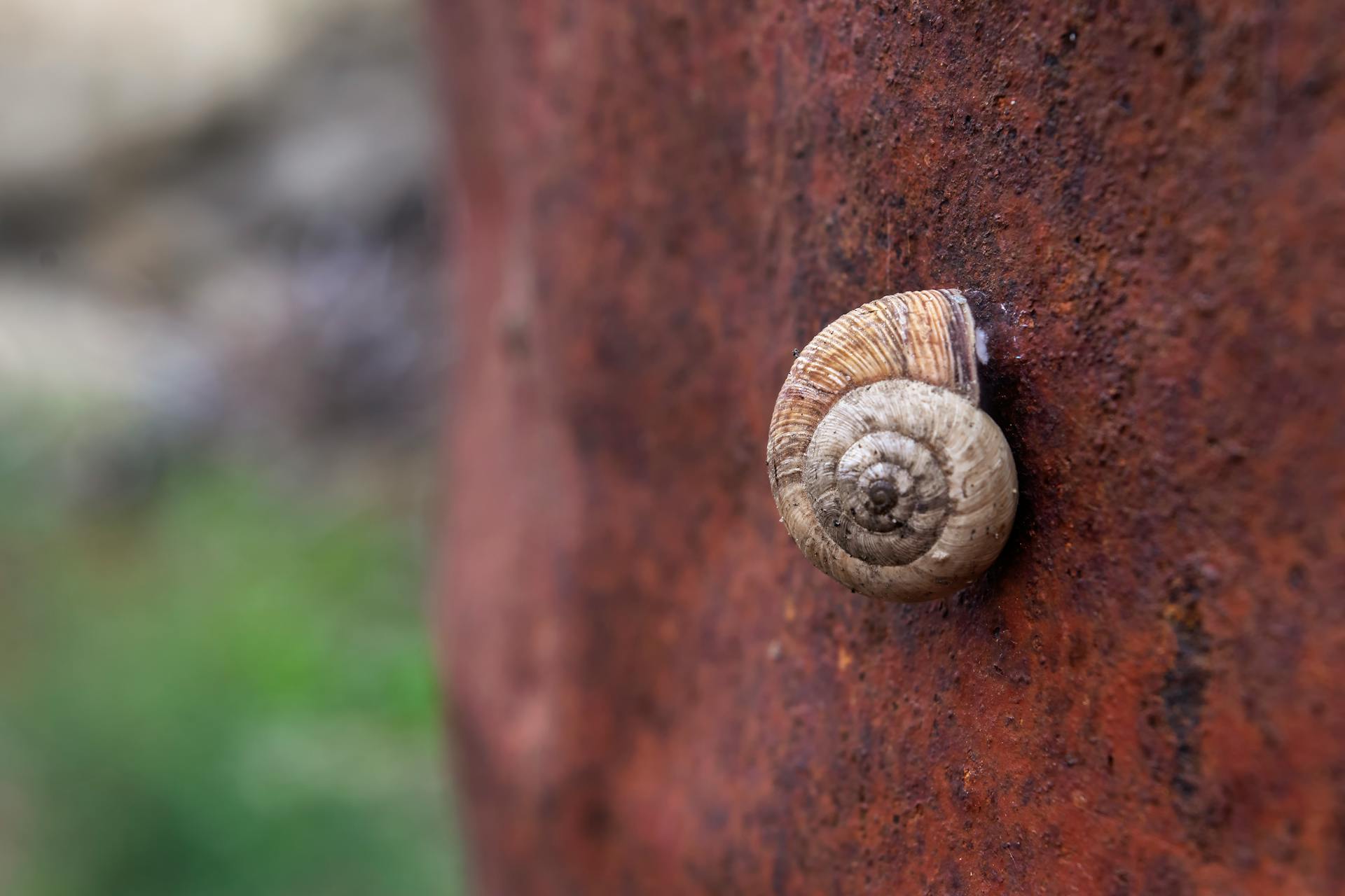The Magic of the Fibonacci Sequence