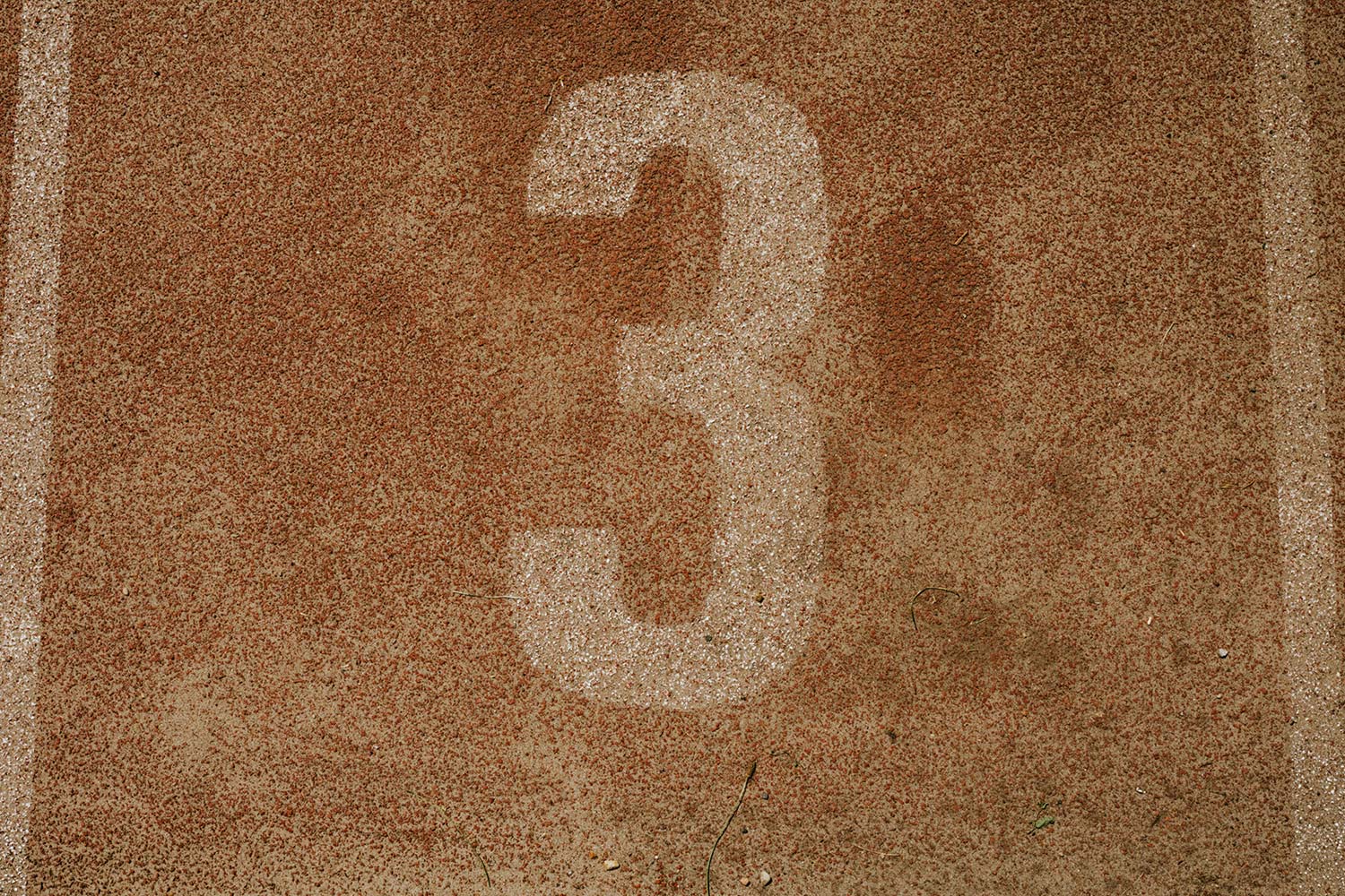 Prime Numbers: What Makes Them Special?